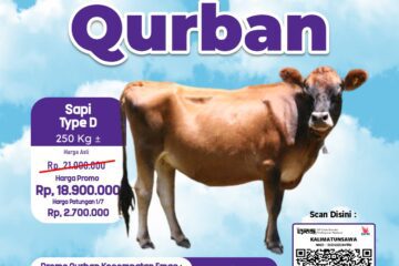 Qurban