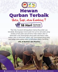 Hewan Qurban Terbaik